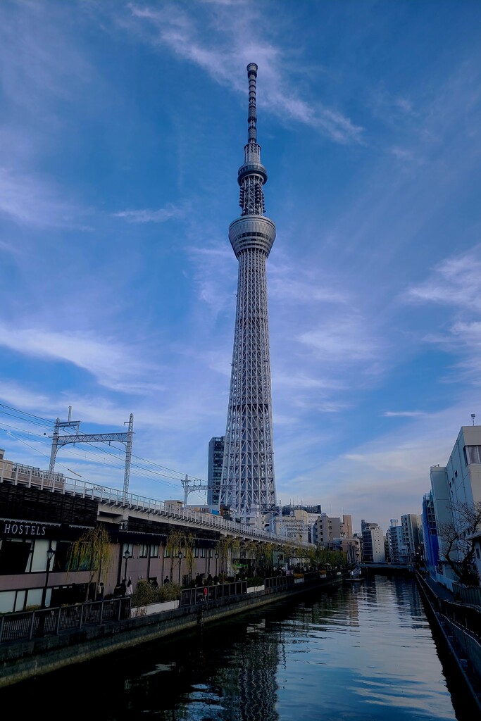 今年最後の一枚は・・・