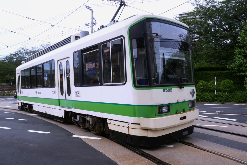 東京さくらトラム（都電荒川線）飛鳥山停留場近く