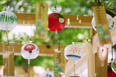 ⑧ 夏の音色