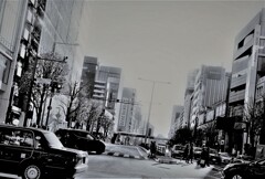 二〇二〇年の日常風景（1）