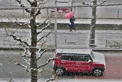 天気予報が当たりましたね。