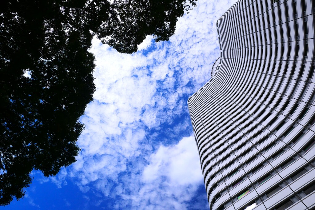 夏空 ②