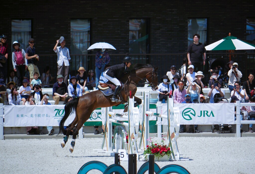 メインアリーナで開催された障害飛越競技（1）