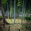園内の竹林