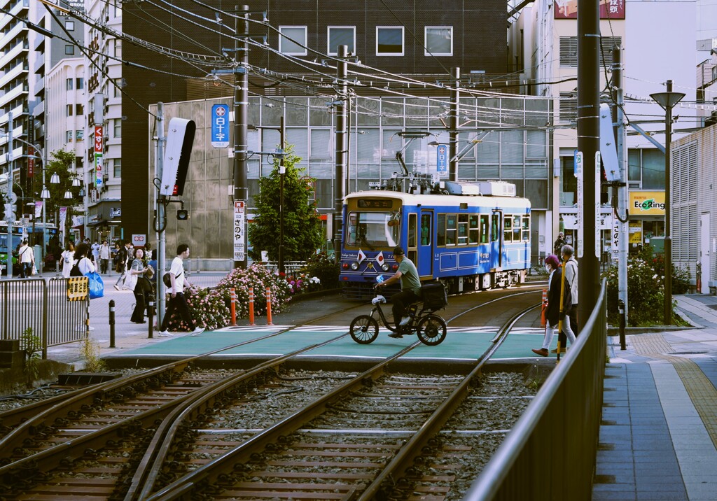 都電のある風景