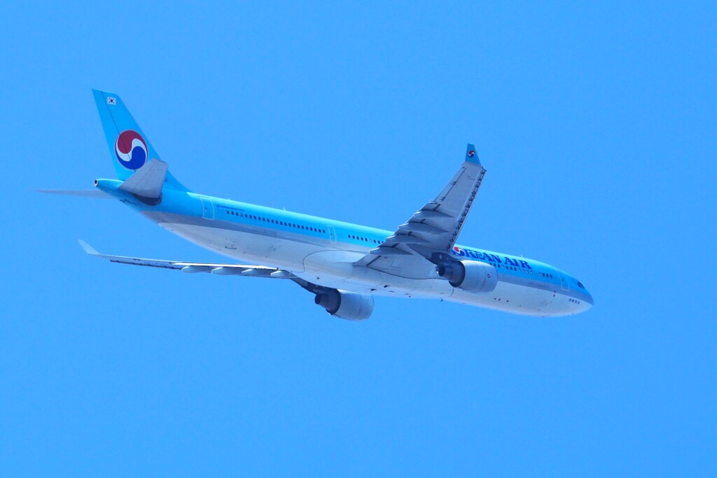 大韓航空　機種：A330-300