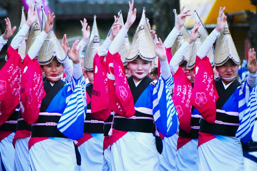 地元高島平で「第1回 高一（たかいち）中央通り商店会 阿波踊り」が開催！
