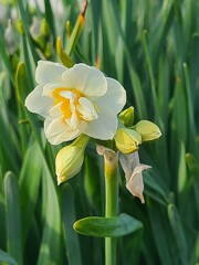② 近くの公園にも春が来た！