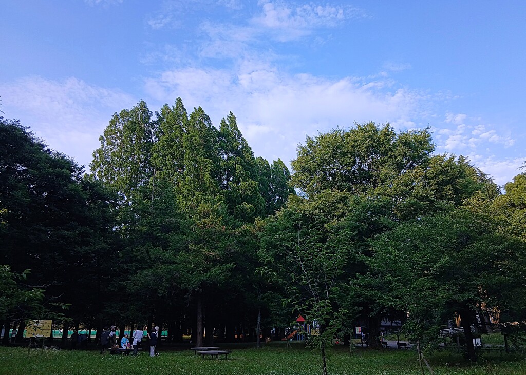 梅雨は何処へ・・・