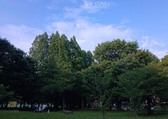 梅雨は何処へ・・・