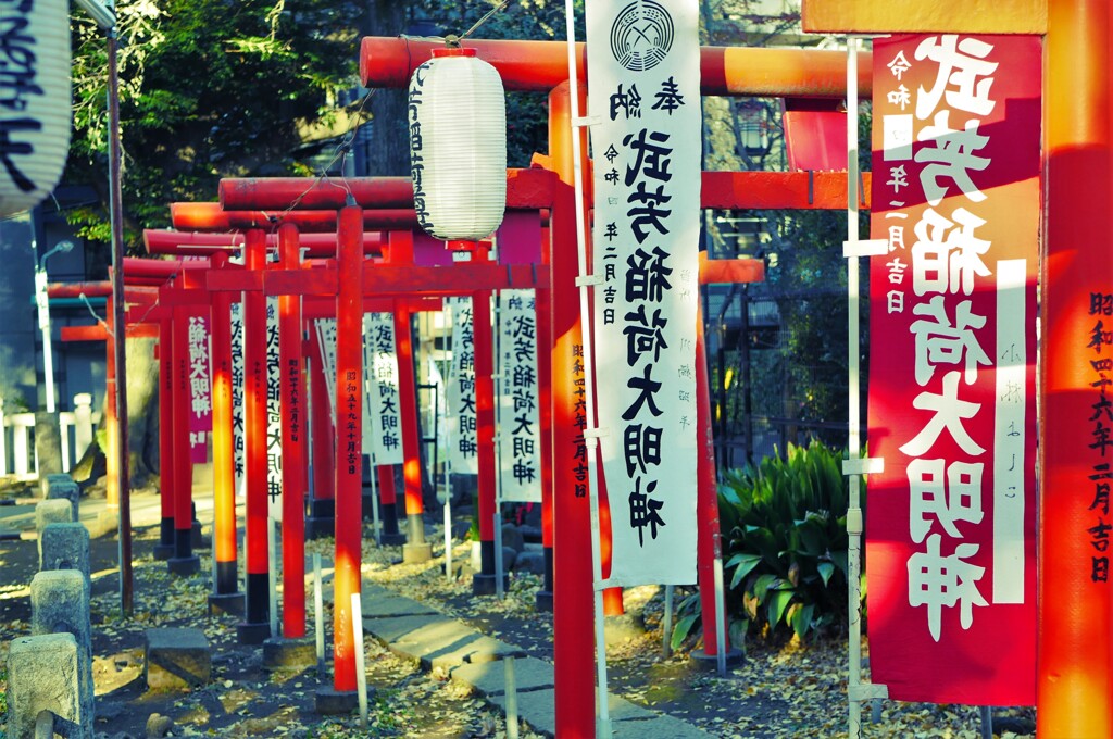 朱色の千本鳥居