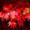 会津の秋色 ②   芦ノ牧温泉駅にて