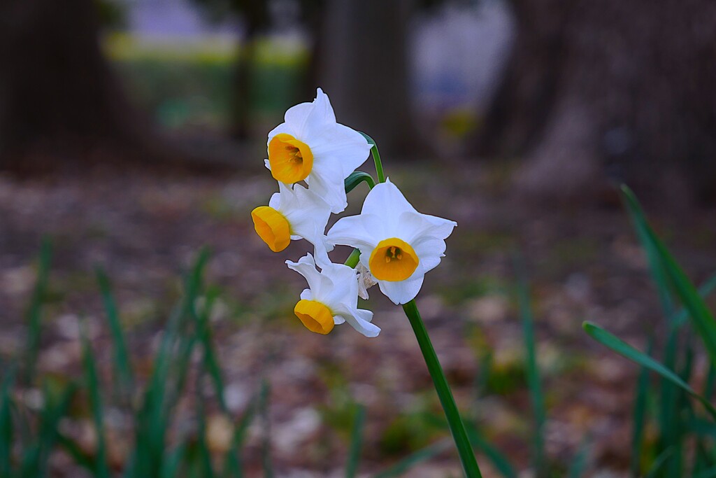 ① 近くの公園にて