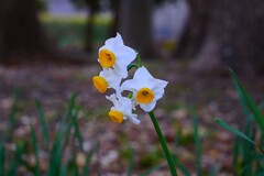 ① 近くの公園にて