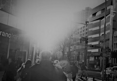 二〇二〇年の日常風景（2）