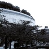 目黒川沿いにある・・・