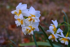 ② 近くの公園にて