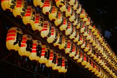 ⑤ 令和6年 新宿 酉の市