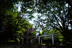 涼しそうですね。