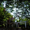 涼しそうですね。
