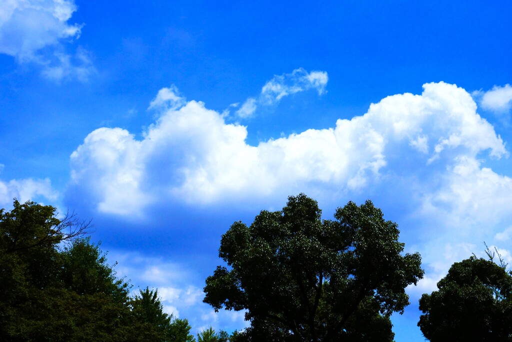 夏空 ③