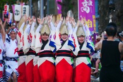 踊る阿呆に  見る阿呆！