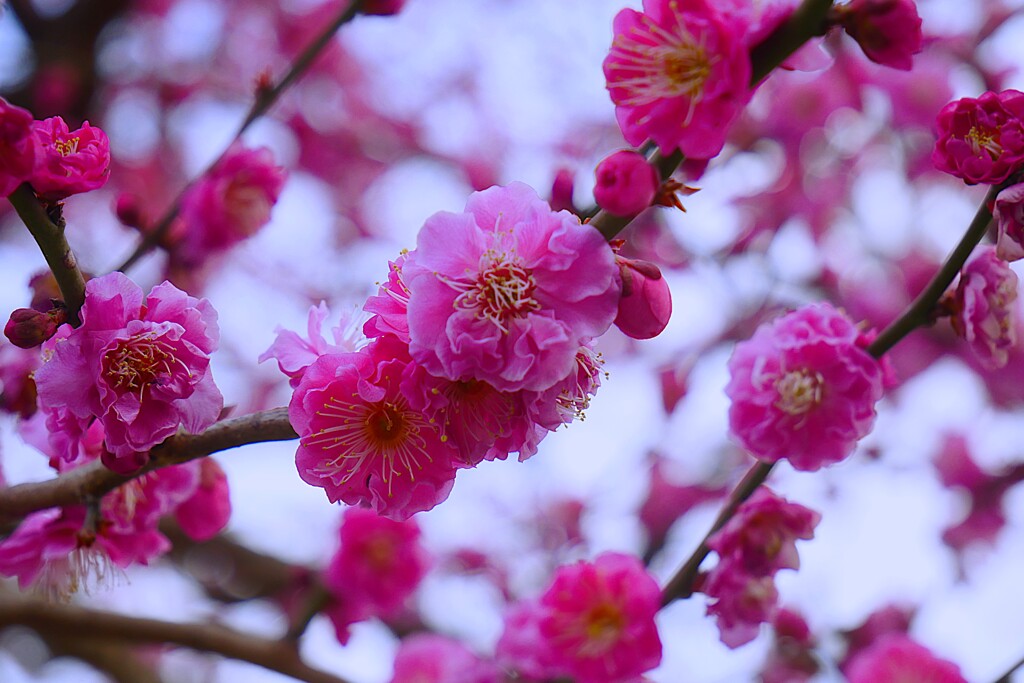 ④ 近くの公園にて