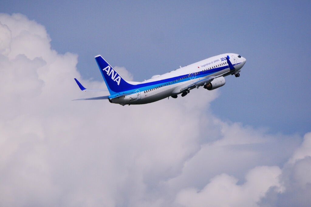 ① take off　ANA  Boeing 737-800