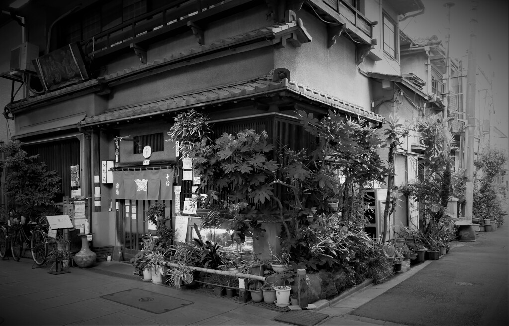 ジョイフル三の輪商店街（2）