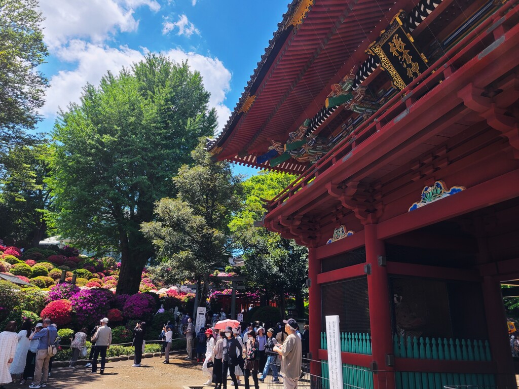 躑躅で有名な「根津神社」です。