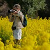 カメラ女子 と「菜の花畑」