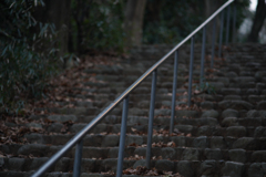 階段と手すり
