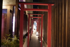 DSC00318