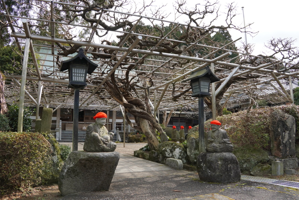 林泉寺