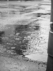 スマホという名のスナップシューター