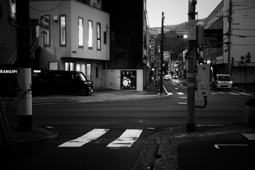 日本一をやめた横断歩道