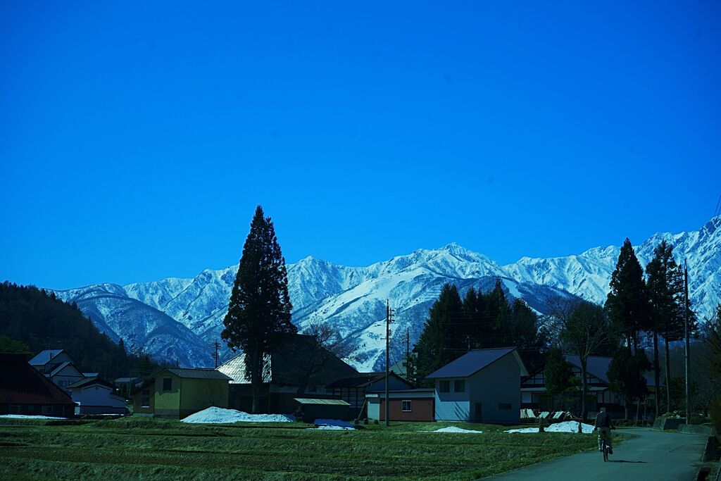 のどかな白馬村の春