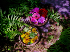 彩り手石鉢