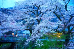 撮影の間