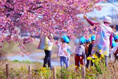 楽しい散歩の時間