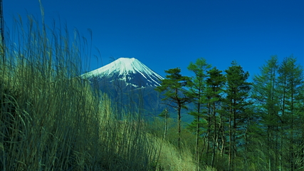 下山路の富士