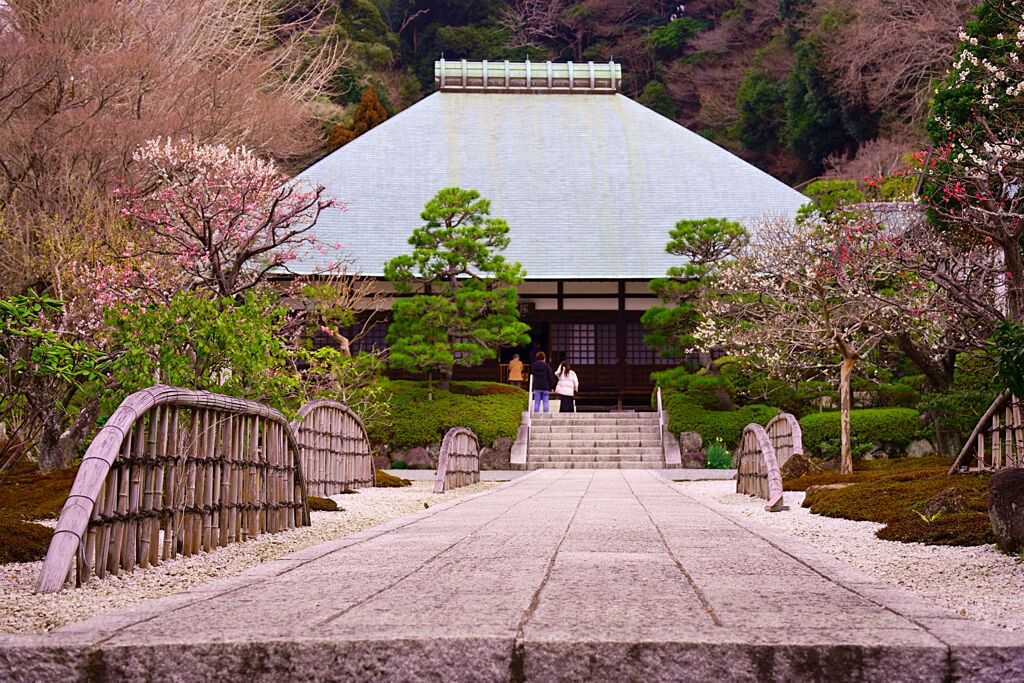 鎌倉　浄妙寺