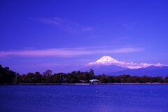 大瀬崎