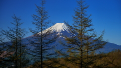 三つ峠　下山　