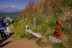 どっちが高いかな？