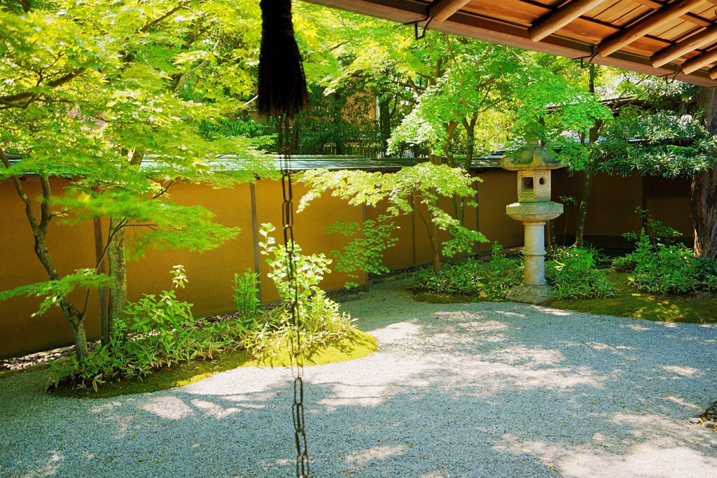 鎌倉　一条恵観山荘　園庭