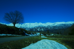 残雪　　野平の春