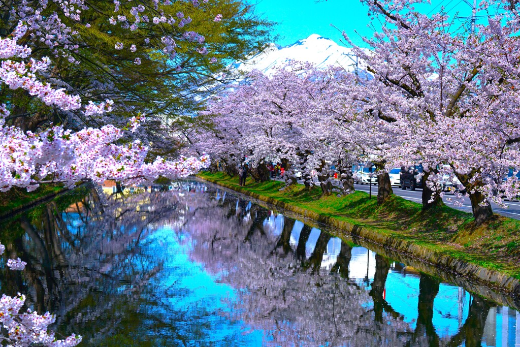 岩木山と弘前公園