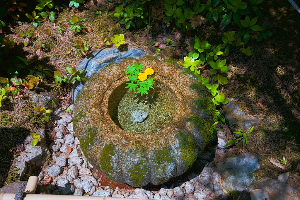 手水鉢　２