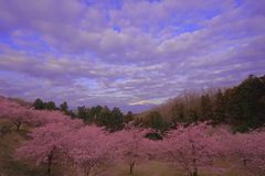 ゆめの里　雲に隠れた富士山
